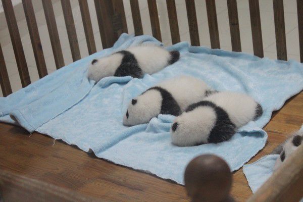 图片6.jpg