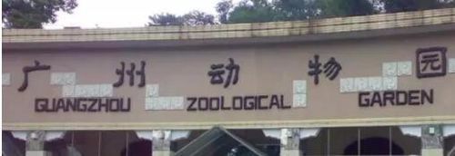 图片10.jpg