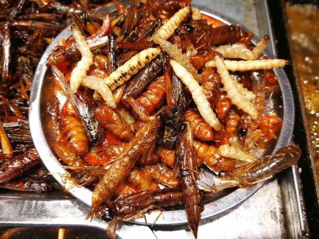 图片15.jpg