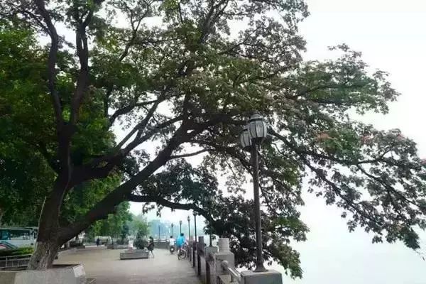 图片8.jpg