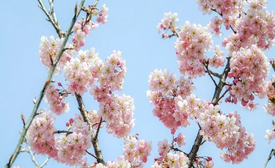 5c91f4ac0cb34.jpg